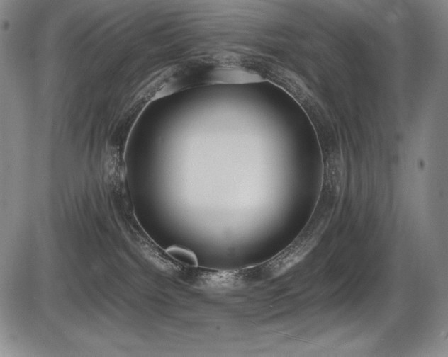 X0000086240092200703291406