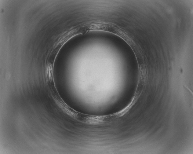 X0000086240094200703291406