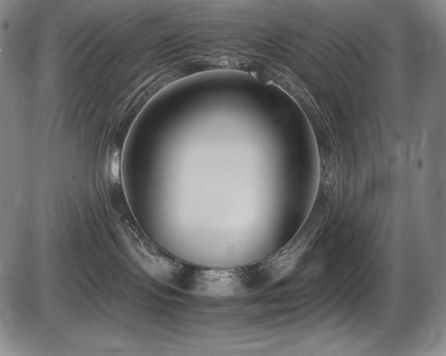 X0000086240095200703291406