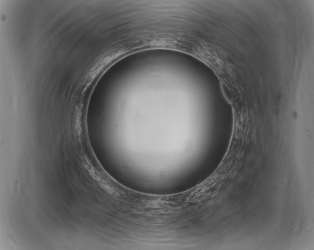 X0000086240098200703291406