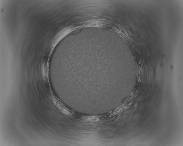 X0000086240100200703291406