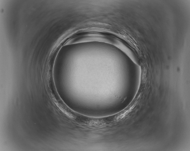 X0000086240101200703291406