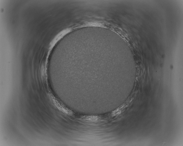 X0000086240104200703291405