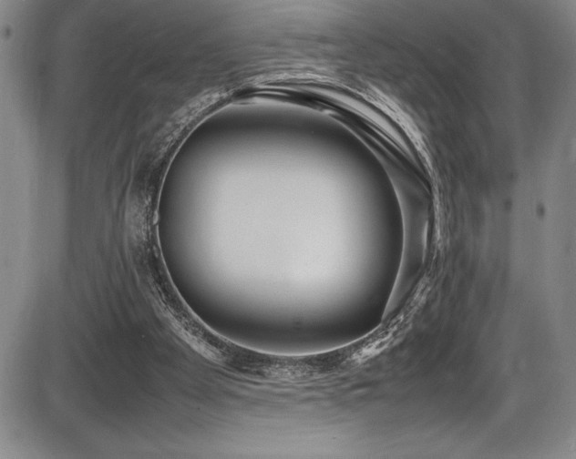 X0000086240105200703291405