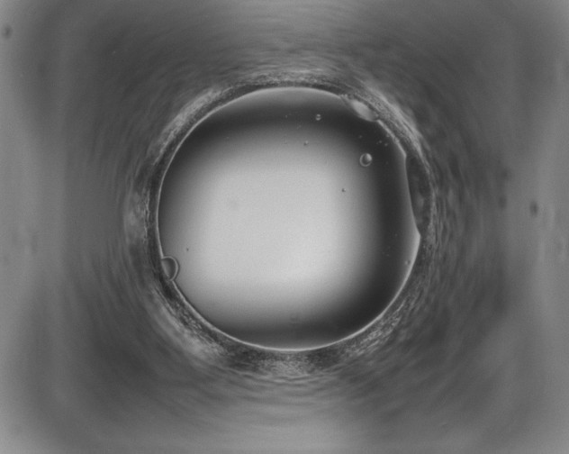 X0000086240107200703291405