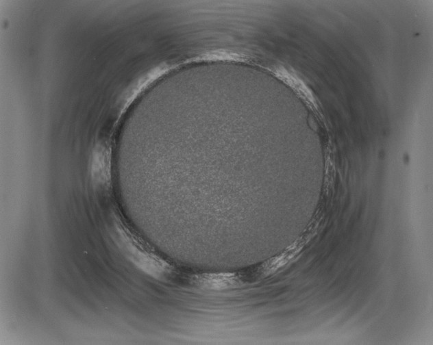 X0000086240108200703291405