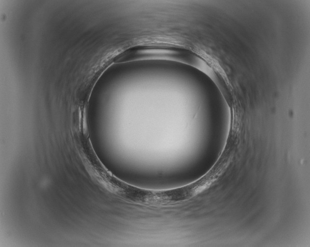 X0000086240109200703291405
