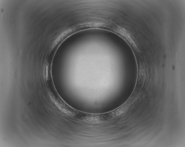 X0000086240110200703291405