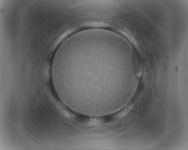 X0000086240111200703291405