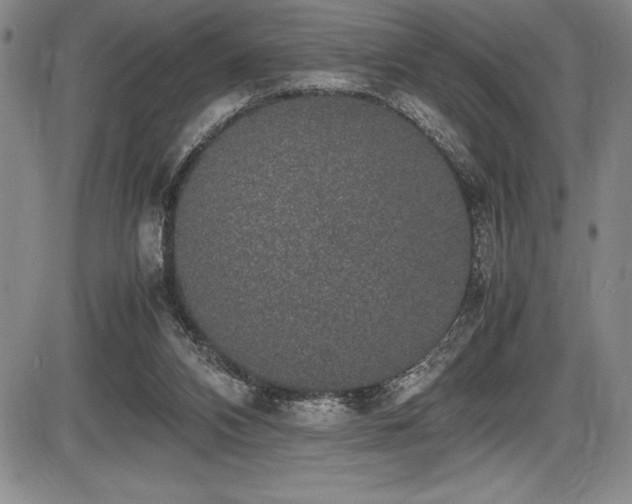 X0000086240112200703291405