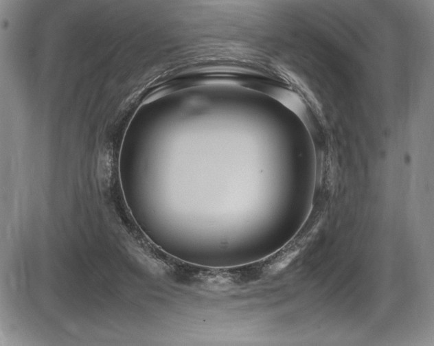 X0000086240113200703291405