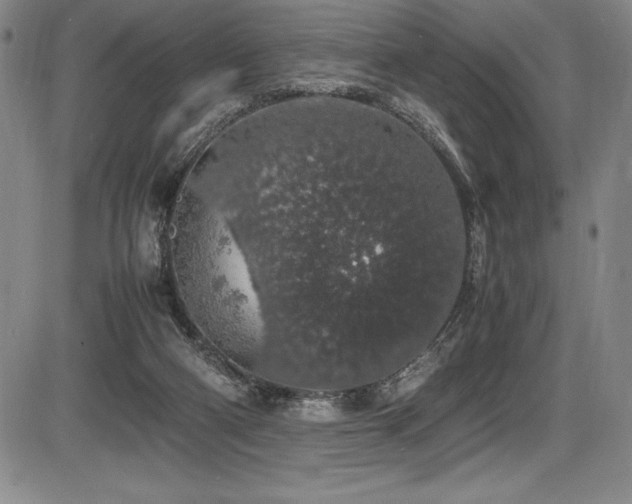 X0000086240114200703291405