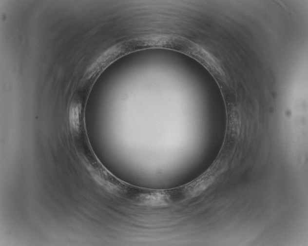 X0000086240118200703291405