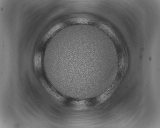 X0000086240120200703291405