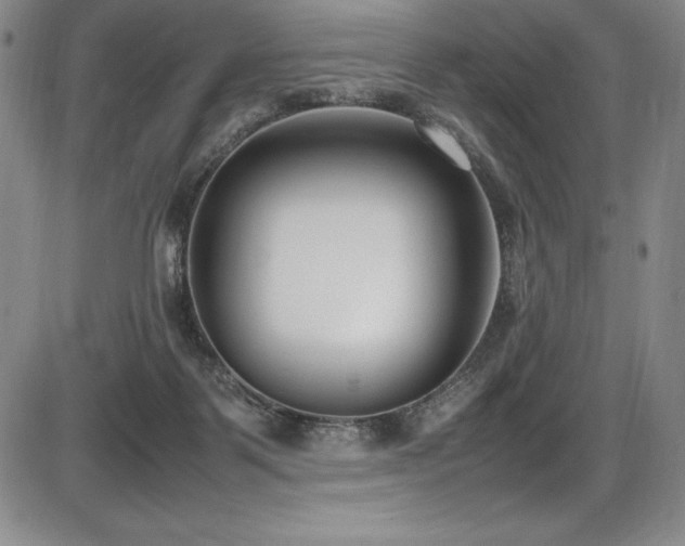X0000086240123200703291405