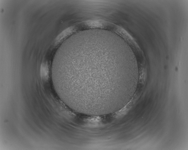 X0000086240124200703291405