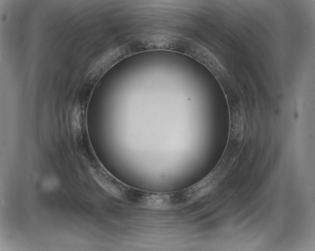 X0000086240126200703291405