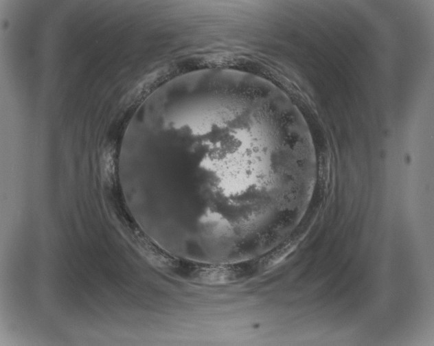 X0000086240127200703291405