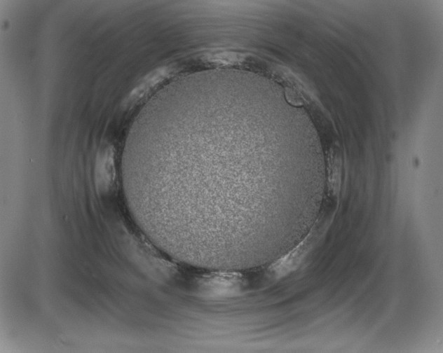 X0000086240128200703291405