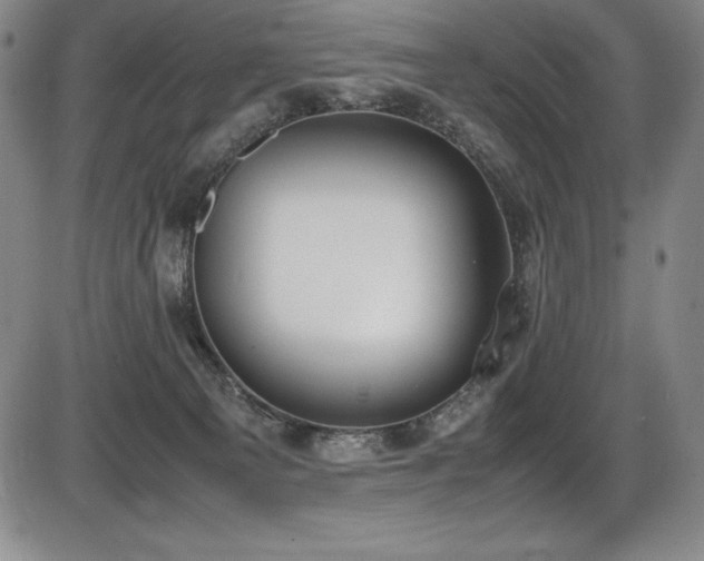 X0000086240129200703291405