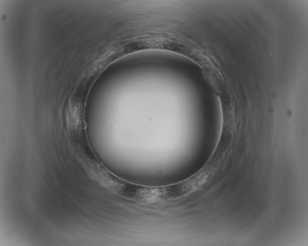 X0000086240131200703291405