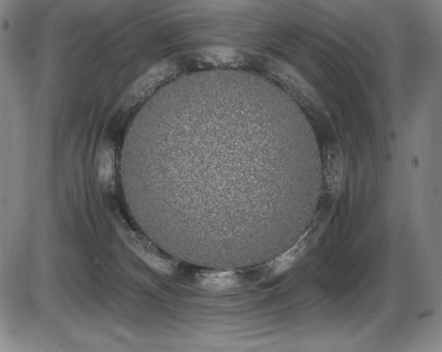 X0000086240132200703291405