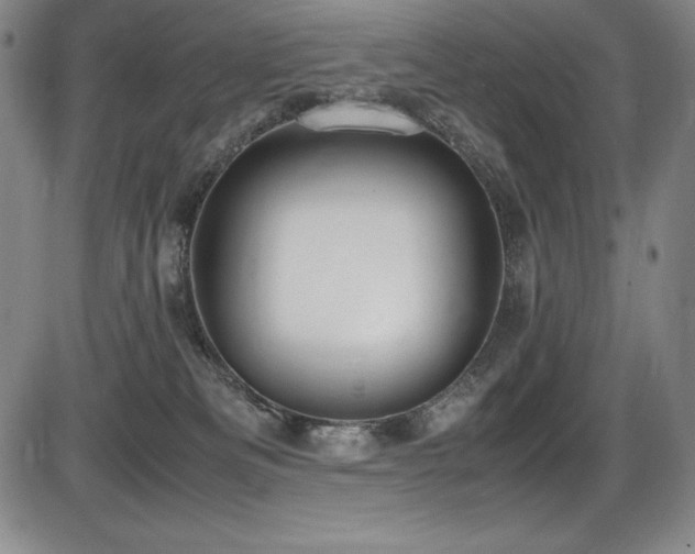 X0000086240133200703291405