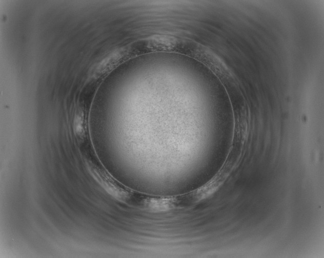 X0000086240134200703291405