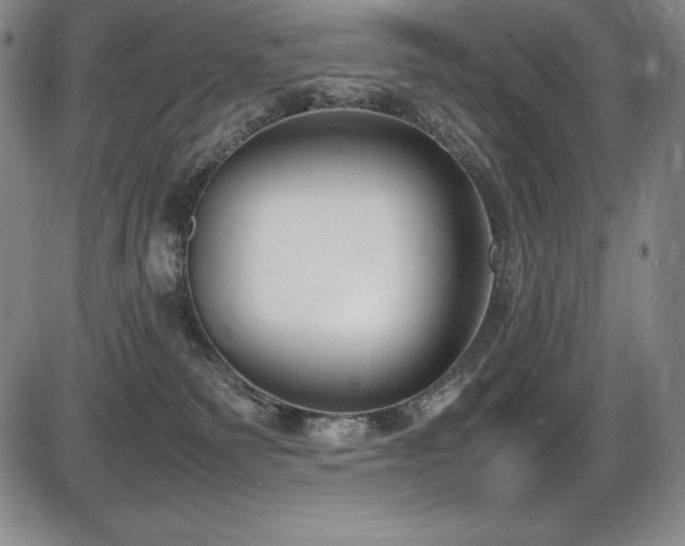 X0000086240135200703291405