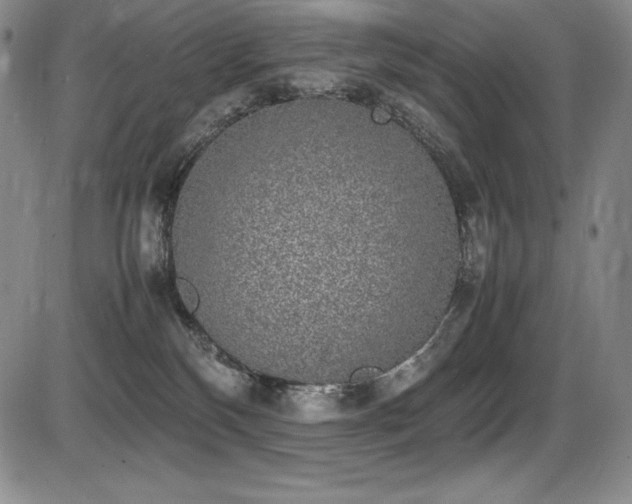 X0000086240136200703291405