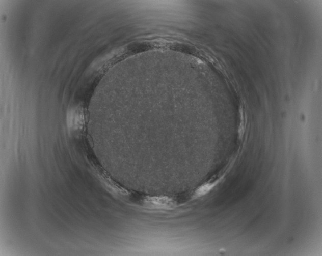 X0000086240137200703291405