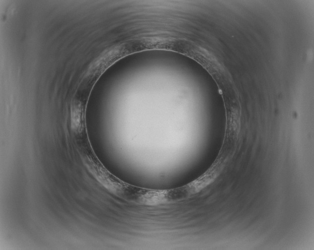 X0000086240138200703291405