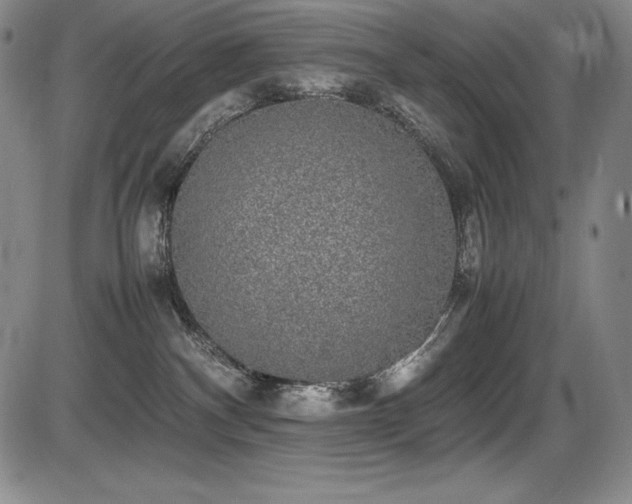 X0000086240140200703291405