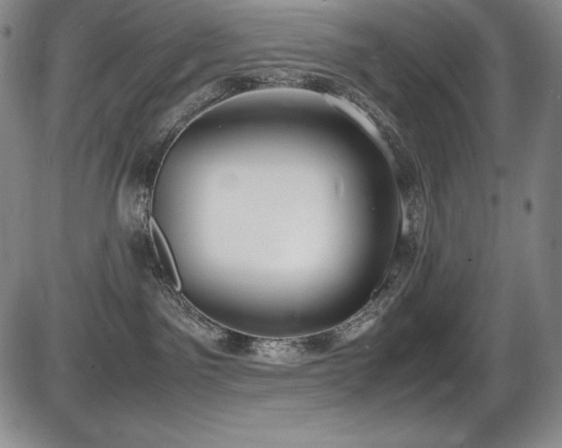 X0000086240141200703291405