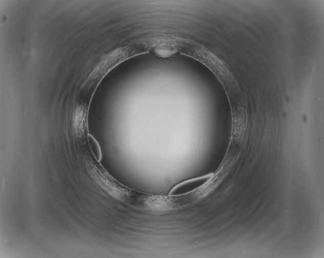 X0000086240142200703291405