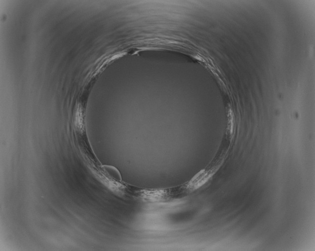 X0000086240143200703291405