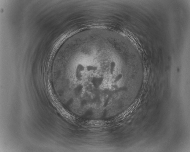 X0000086240145200703291404