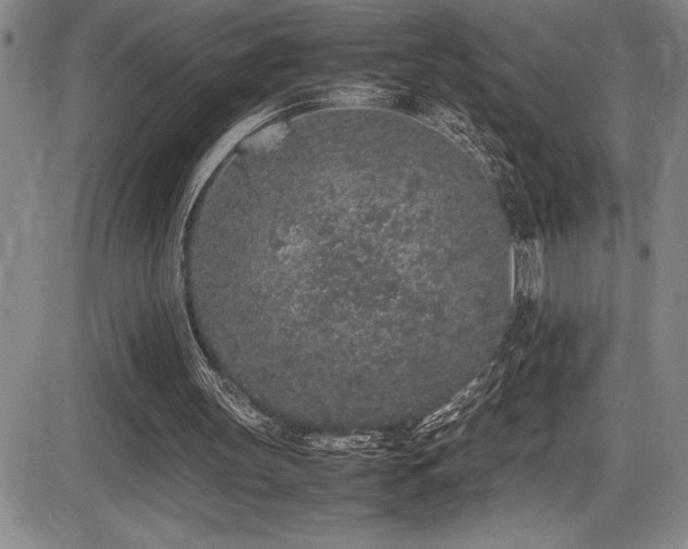 X0000086240147200703291404