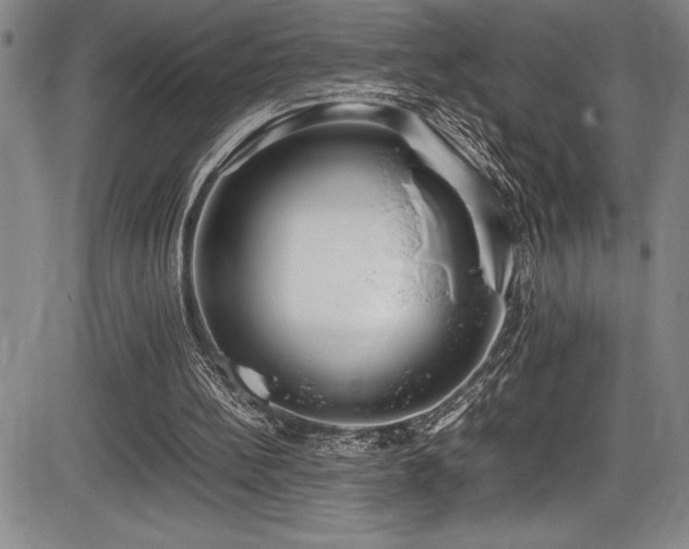 X0000086240148200703291404