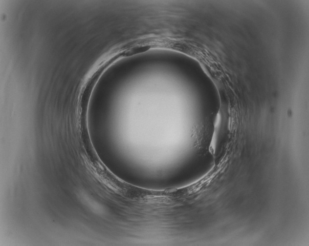 X0000086240150200703291404
