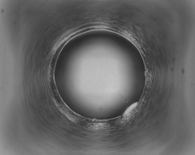 X0000086240151200703291404