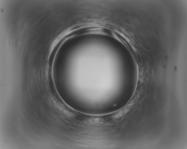 X0000086240152200703291404