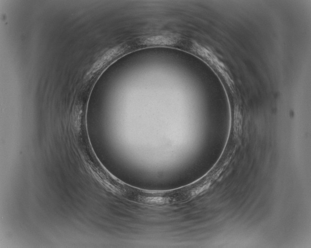 X0000086240153200703291404