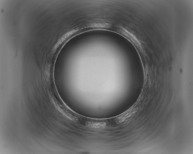 X0000086240155200703291404