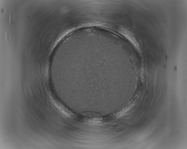 X0000086240156200703291404
