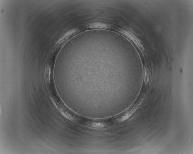 X0000086240157200703291404