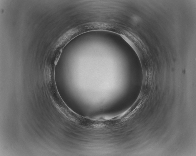 X0000086240158200703291404