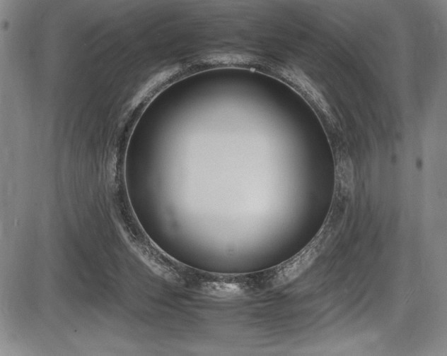 X0000086240159200703291404