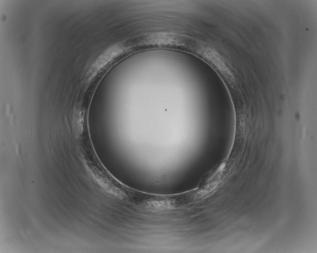 X0000086240160200703291404