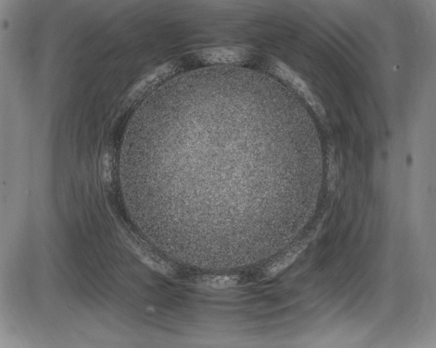 X0000086240161200703291404